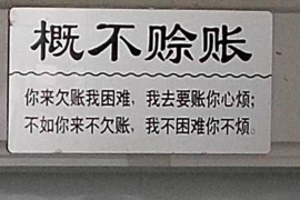 新宁债务清欠服务